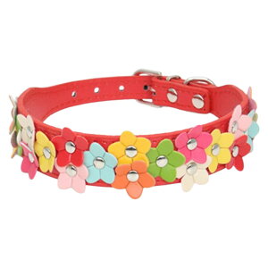   p ybgp Pi J[ `[J[ xg U[ TCY߉\ ^ ^  t[ Jt L[g |bv  JWA 킢 o 