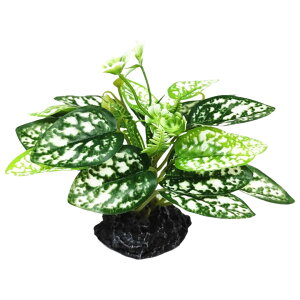  lHvc lH ANAEpi   Ϗ܋ Mы ঒ B tFCNO[ ybgpi ϗtA