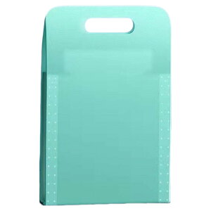 送料無料 ドキュメントファイル ファイルケース バインダー 文房具 バッグ型 A4サイズ タテ型 縦型 書類ケース クリアファイル アコーディオン型 じゃばら型 書類収納 持ち手付き インデッ