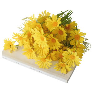   tFCNt[ F2{Zbg 53cm  15 t[ fCW[ J~[ ͂Ȃ lHϗtA   CeA rO    i`  E