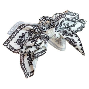  wANbv VV wAS S fB[X wAANZT[ {   wAAW  킢 p wlp