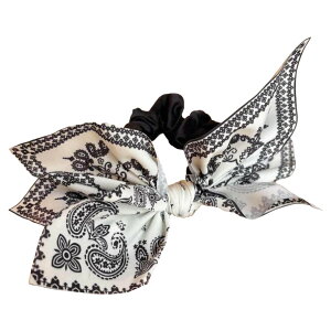  wANbv VV wAS S fB[X wAANZT[ {   wAAW  킢 p wlp