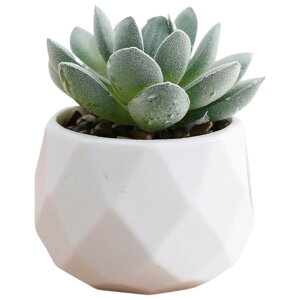  tFCNO[  CeAG u   A ^  p O[ sN CG[  L[g  i` {^jJ