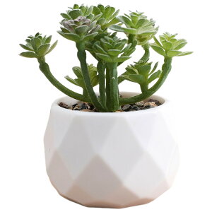  tFCNO[  CeAG u   A ^  p O[ sN CG[  L[g  i` {^jJ