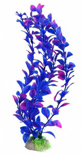  lH lHvc pCAEg  ANAEfR[V CeA ANZT[ IuWF I[ig pi