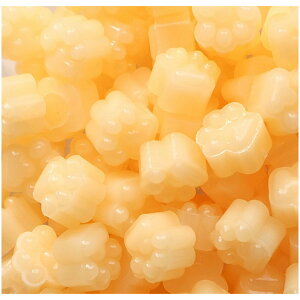  V[ObNX X V[OX^vpi 600gZbg  Jt  ҏ 莆 Mtg bsO  킢  nhCh JoLx