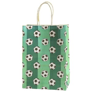 送料無料 紙袋 手提げ ペーパーバッグ 4枚セット ギフトバッグ ラッピングバッグ 縦21cm 横幅15cm プレゼント用 ギフト用 紙手提げ サッカー 野球 バスケ ラグビー ボールモチーフ