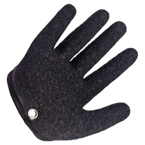  ނ ϐؑn tBbVOO[u ͂  Ўp Y fB[X ~ h hn ؂Ȃ  Y