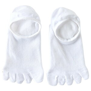  ܖ{w\bNX C fB[X V[g n bV ʋC JoLx Vv   JWA fC[ ʊw X|[c ̎q p wlp   F s