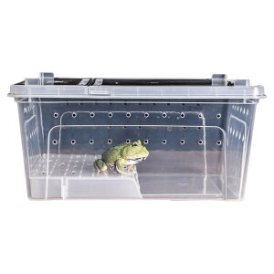 送料無料 飼育ケージ 飼育ケース 両生類用 爬虫類用 クリアケース プラケース 透明 カメ 亀 カエル 水槽 浮島 日向ぼっこ台 テラス 陸地 長方形 シンプル 通気口 ペット用品