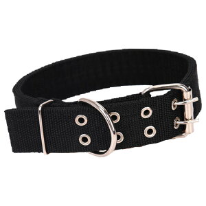   p ^ ^ ɑ L ̕Sy Ck ybgpi xg^Cv L ͕U U o TCY߉\ n PF Vv ubN  bh u[  