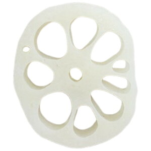 �������� �}�O�l�b�g ���� ���A�� ���j�[�N �������낢 ���킢�� ��� �ʕ� �t���[�c �①�� �z���C�g�{�[�h �L�b�`�� ���r���O