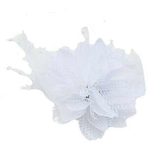  wANbv fB[X  wAANZT[ EFfBOANZT[ uC_ANZT[ t@bVG tFCNtFU[  t[ 傫 bh u[ z