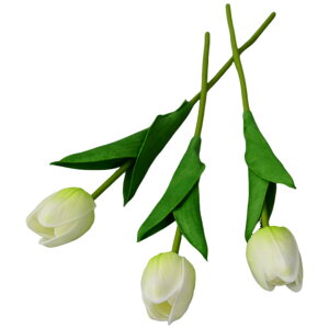   tFCNt[ lHt[ 9{Zbg ԑ `[bv  t[AWg CeAG lH ͂Ȃ GKg