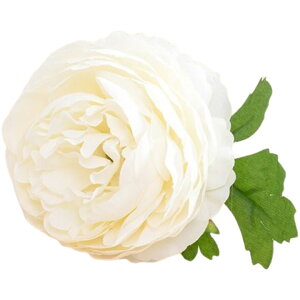   Pi 1{ tFCNt[ O t[AWg A[eBtBVt[ A[gt[ ԏ  CeAG ʐ^Be tHg p[eB[ ̓ Mt