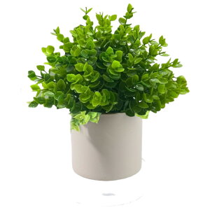  lHϗtA tFCNO[ A  K[fjOpi u Aؔ ~j  킢  CeA RpNg ͂Ȃ