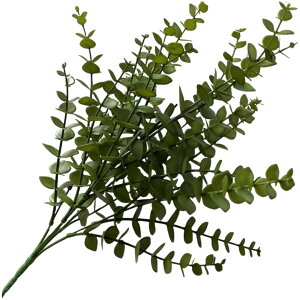  tFCNO[ lHϗtA   1{ Pi [t t   CeA ͂Ȃ rO  gC ʏ Q  i` 킢