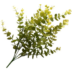  tFCNO[ lHϗtA   1{ Pi [t t   CeA ͂Ȃ rO  gC ʏ Q  i` 킢