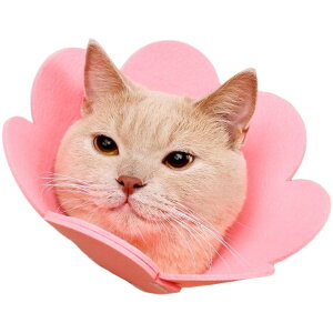  GUxXJ[ ybgp Lp p ^ \tg _炩 z Xibv{^ p rߖh~ 畆ی 킢 