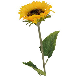   tFCNt[ Ђ܂ 3{Zbg CeA A[gt[  Tt[ lt[ q} ԍ ԏ t[AWg fBXvC  fR