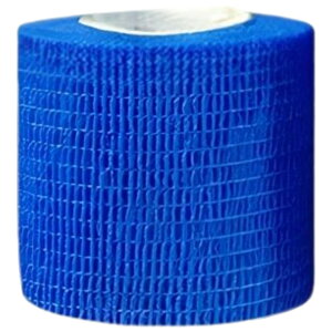  X|[cpT|[ge[v X|[ce[v e[v Lke[v F3Zbg 5cm e[sO T|[ge[v ʋC ֐ I G  w  Vv