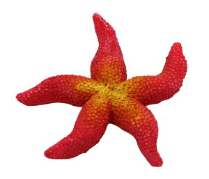  pANZT[ I[ig qgf TS X蕗 Jt Mы Ϗ܋  ANAE ANAEpi pANZ p CAEgpi IuWF  