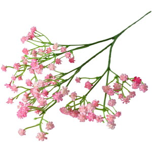   tFCNt[ 1{ Pi JX~\E CeAG DIY A[gt[ AWg lH ԑ t[AW a LO Ǝ  킢  v