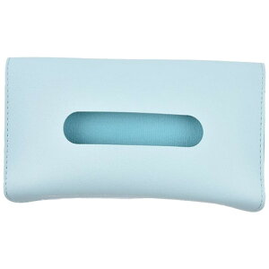  eBbVP[X RpNg ԗp eBbVJo[ G CeA pi xg eBbVz_[ J[pi ԓ[ U[  X^CbV Vv ȃXy[