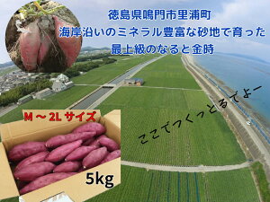 ܂ ȂƋ  YY 5kg M L 2L ӂ낢  Ă XC[g|eg XC[c f VN Â x zNzN w n _  Y {Y Y s 