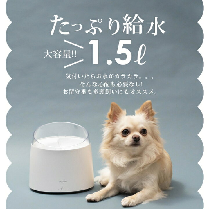 楽天市場 自動給水器 1 5l Ptl E008 送料無料 Mottole 猫 犬 水飲み器 ペット 自動 給水器 自動水やり器 自動水やり機 水飲み器 水 ペット給水器 ペット自動給水器 浄水 超静音 Mottole