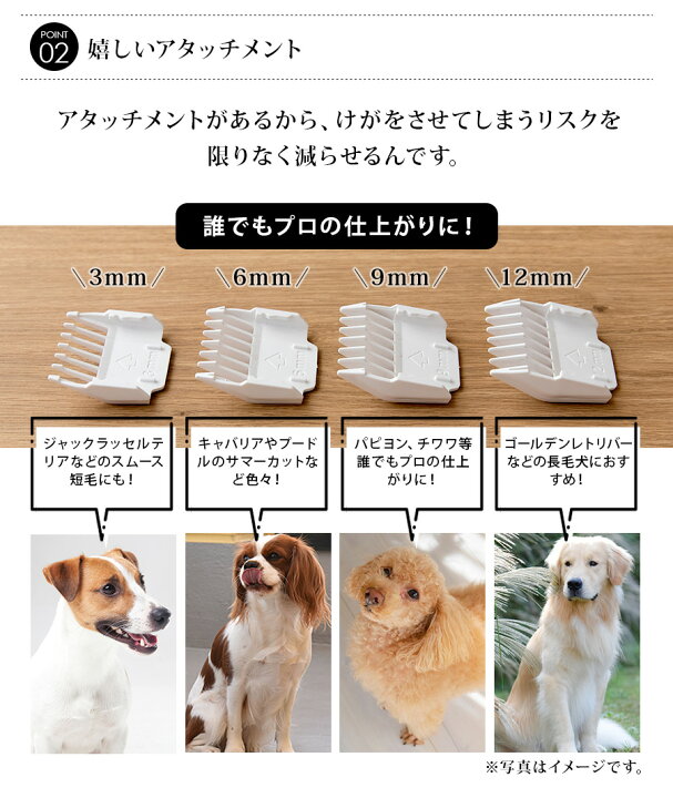 楽天市場 ペット用バリカン ペットバリカン Ptl E006 犬用バリカン 猫用バリカン 送料無料 Mottole コードレス プロ トリマー バリカン 犬 猫 ペット 用 いぬ ねこ トリミング トイプードル セルフ 充電式 アタッチメント 軽量 Mottole