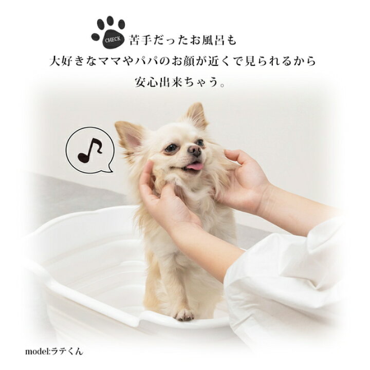楽天市場 ペットバスタブ 排水栓付 Ptl Z001 送料無料 Mottole 犬 お風呂 犬バスタブ 折りたたみ式バスタブ 洗い桶 シリコン ソフトバスタブ Mottole