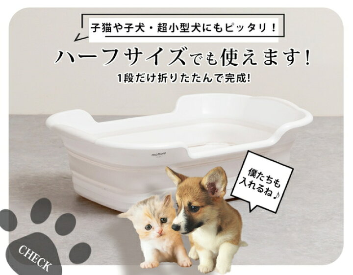 楽天市場 ペットバス ペットのお風呂 ペット用バスタブ 犬バスタブ ペットバスタブ ベビーバス 排水栓付 犬 お風呂 折りたたみ 洗い桶 猫のお風呂 アウトドア トリマー ソフトバスタブ Mottole Mottole