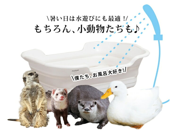 15325円 【2022春夏新色】 LuckyBlu 小型 ペット ポータブル アウトドア 折りたたみ バスタブ 犬 猫 15325円 【2022春夏新色】 LuckyBlu 小型 ペット ポータブル アウトドア 折りたたみ バスタブ 犬 猫