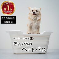 ＼10%OFFクーポン！マラソン限定／【レビュー特典付き】 【楽天1位！】ペットバス ペットのお風呂 ペット…