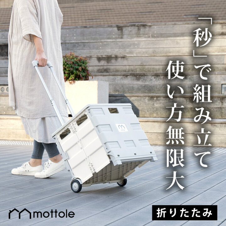 楽天市場】【レビュー特典付き】キャリーカート 台車 折りたたみ 軽量 
