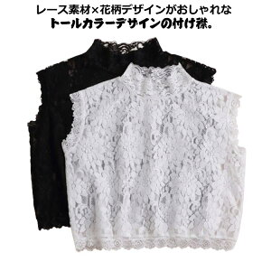  t [X  Ci[gbvX ԃ[X Ci[Vc t lbNEH[}[ lbNJo[ nClbN Y uEX d˒ C[h n  