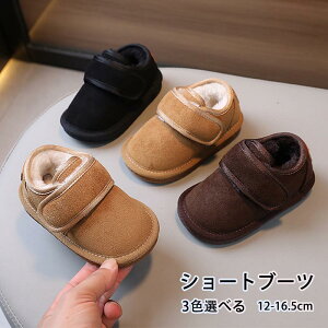 qCj̎q̎qxr[ԂLbY[gV[Y[gu[cxr[CtH~Nї{Ahh{AtӂӂyʒɂȂg~