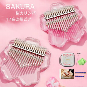 Jo ewsAm ŐV karinba 17 wsAm ewsAm S҃Zbg {}jA nhIS[ Zbg pP[X TsAm AtJ  17L[ v[g  t 