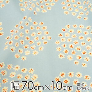 }bR n 70cm×10cmP PUKETTIivPbeBj/LIGHT BLUEyX cz