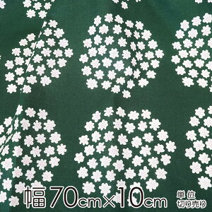 }bR n 70cm×10cmP PUKETTIivPbeBj/GREENyX cz