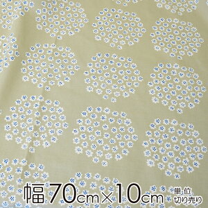 }bR n 70cm×20cmȏ10cmP PUKETTIivPbeBj/GREIGEiO[WjyX cz