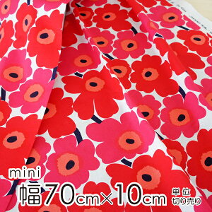 }bR n 70cm×20cmȏ10cmP MINI UNIKKOi~j EjbRj/REDyX cz