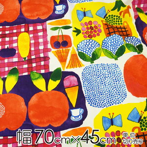 }bR n 70cm×45cmP KESATORIiPTgjyX cz