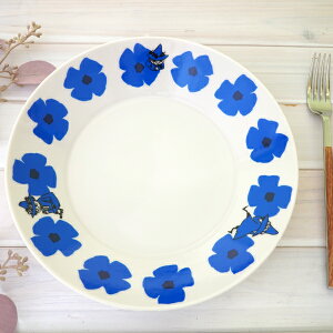 ySSԑSiP5{z[~ ̃pX^v[g22cm NJbgyX cz