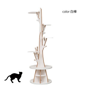 g1,000~OFFN[|i9/30 23:59̃V{c[ L̂Ȃ × ̂Ȃ TOWER180 ؐ k uƋyX cz