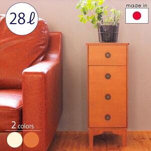 y|Cg10{I11/1z}gH| l\`FXg^̃S~ chest dust 15LyX cz