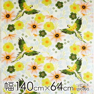 ySiP5{1623:59zVi}[N kinnamark n 140cm×1s[g/64cm PAPEGOJNYPONyX cz