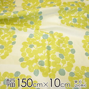 NH[^[|[g n 150cm×10cmP Floatit[gj/GREENyX cz