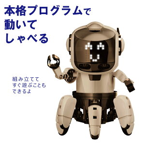 �y�}���\�����ԑS�i�|�C���g5�{�z�G���L�b�g �v���O���~���O�E�t�H�� SPEAK for CHROME MR-9123�i10�΂���j